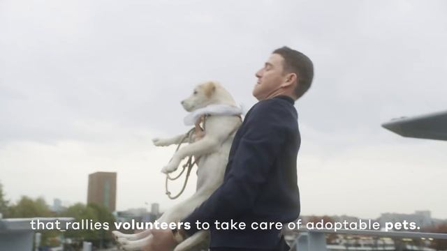 Watch How Celebrity Couple Jamie Chung and Bryan Greenberg Give Back During the Holidays смотреть онлайн