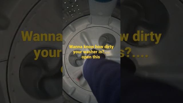 Wanna Know How Dirty Your Washer Is?.... Open This