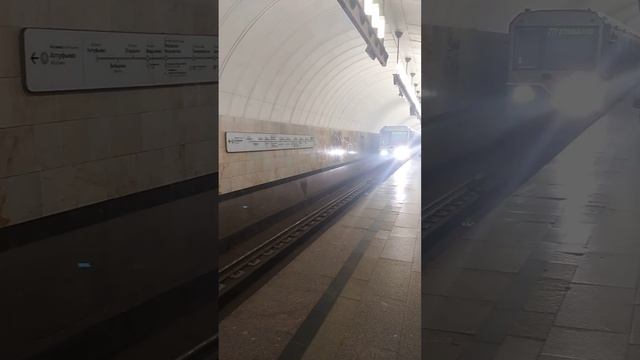 снова в строю перегонка поезд Ока на станции метро Чеховская 19.04 2024