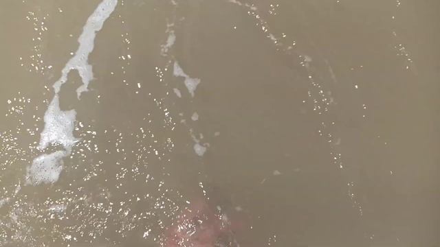 Skmei 1251 é a prova de água? смотреть онлайн