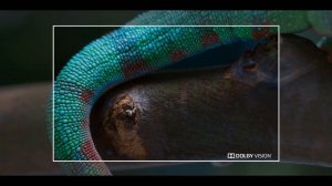 5.1 Dolby Surround Sound test | Dolby Vision | Chameleon - Soundbar Tv Test