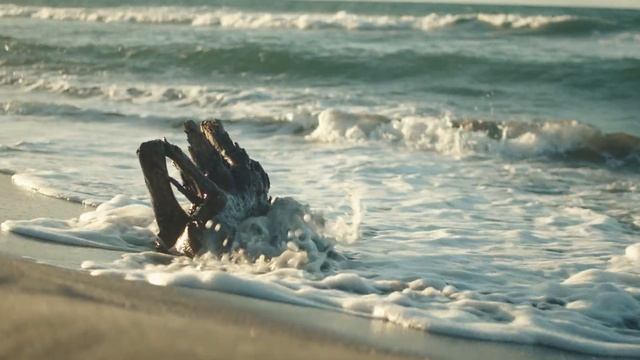 Sirui 35mm F1.8 Anamorphic 1.33x Lens | BMPCC4K Test #1