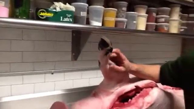 Prepping Pig For Cochon 555 Memphis