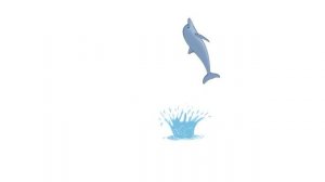 Dolphin Animation