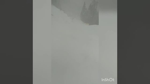 Захар Беркут гора "Високий верх" 17.01.2022. Видимість майже нульова!!! смотреть онлайн