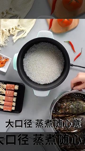 Multifunctional Electric Cooker- AcquireBD смотреть онлайн