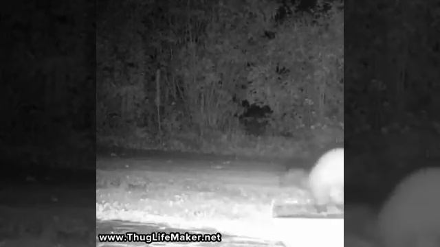 Thug life marten смотреть онлайн