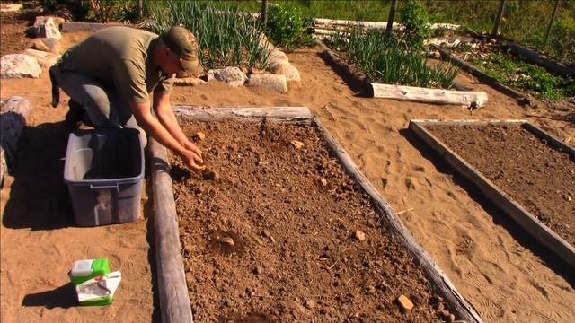 Tips for Planting Squash, Zucchini, Cucumber and Pumpkins смотреть онлайн