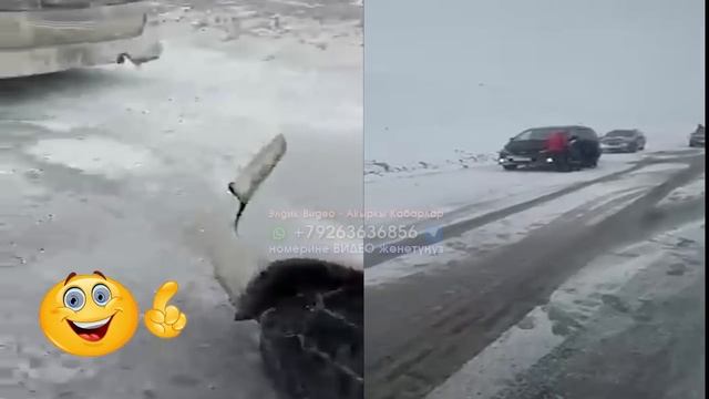 Тамашасы ЖОК чындап ЭЛЕ срочно ВСЕ сезонный ПРАВА алгыла КЫШЫНДА унаа АЙДАГАНДАР :) #ЭлдикАУДИОКаба смотреть онлайн