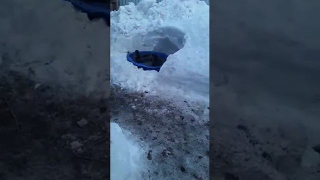 Подсадные утки, вызаривание смотреть онлайн
