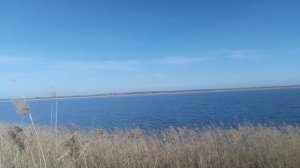 Камыш — река в России