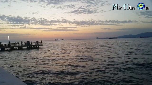 Родились крокодильчики 🐊 У Солнца стояние, затмение и апогейный закат 🌄