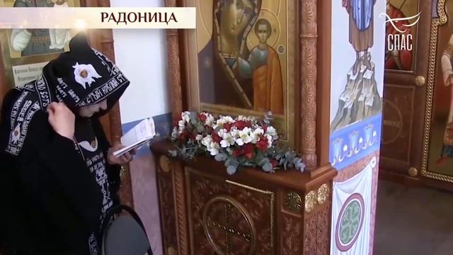 РАДОНИЦА. ПРАЗДНИК ДНЯ смотреть онлайн