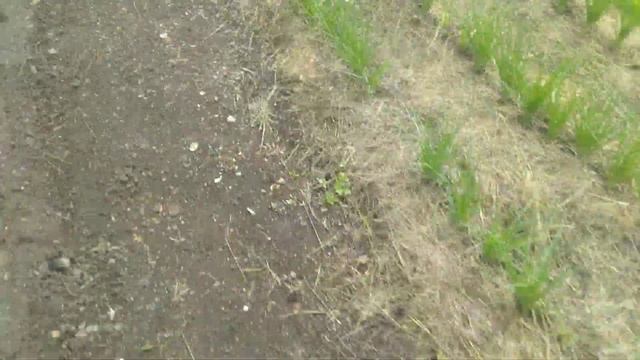 Отзыв об Agro-Market смотреть онлайн