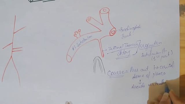Internal Thoracic Artery смотреть онлайн