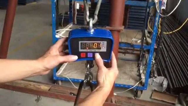 Crane Scale