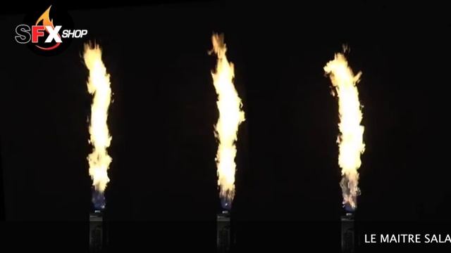 SFXshop "LE MAITRE SALAMANDER" demo смотреть онлайн