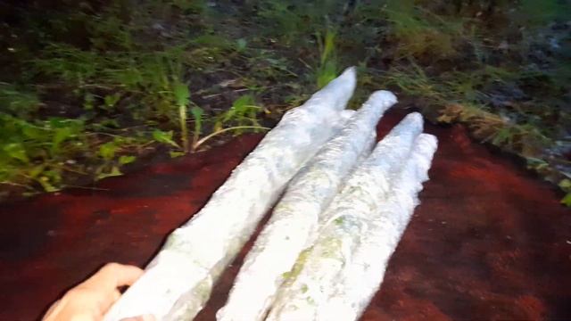 Банный веник из Берёзовых веток перед заморозкой смотреть онлайн