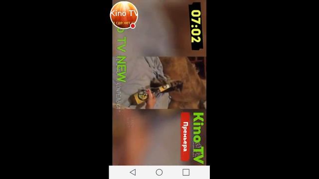 Утро Kino TV смотреть онлайн