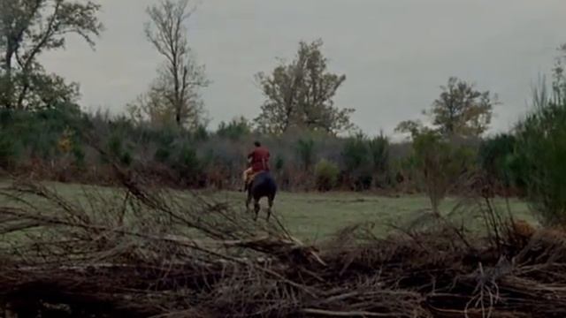 Damon And Pythias 1962