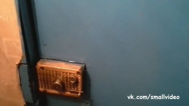 Подборка приколов. Чисто поугарать смотреть онлайн