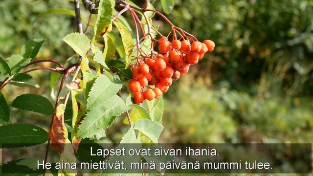 Kylämummit kohtaavat monenikäisiä lapsia смотреть онлайн