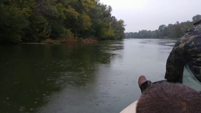 Шепилово.Дождь есть, рыбы нет . 🦆 Утка навигатор ! смотреть онлайн