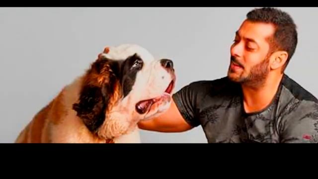 Swag Se Swagat Song Tiger Zinda Hai Salman Khan Katrina Kaif смотреть онлайн