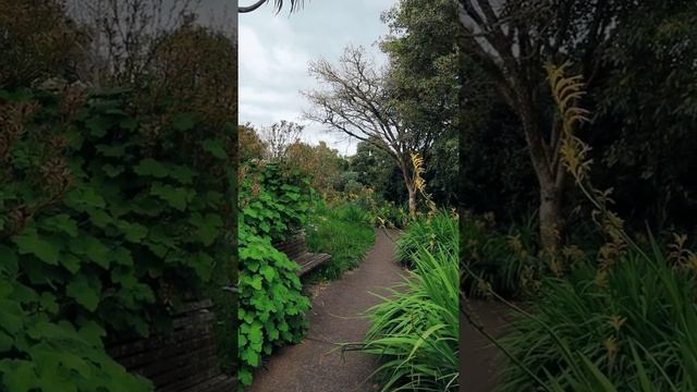 Episode 10 What makes Auckland Botanic Gardens Special? Trachor | ត្រាច់ចរ смотреть онлайн