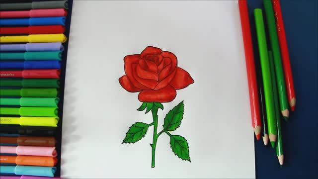 Как нарисовать РОЗУ шаг за шагом Рисунки роз смотреть онлайн