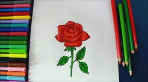 Как нарисовать РОЗУ шаг за шагом Рисунки роз
