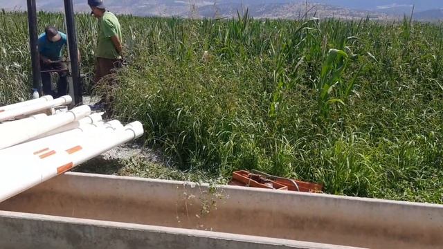 10 Hp dalgıç pompa ile 60 metreden 40 ton su смотреть онлайн