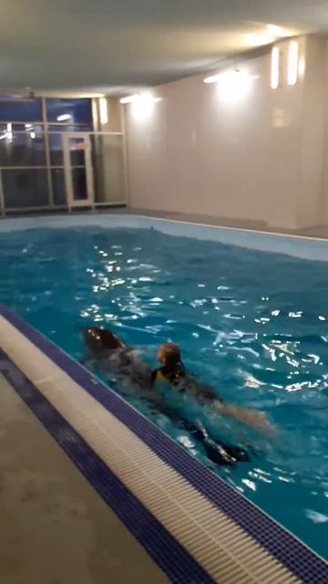 Москвариум!!!(((🦈🐋🐳 смотреть онлайн