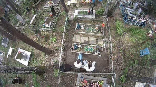 Игры с Беллой смотреть онлайн