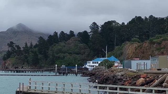 Celia Purca white and John at Magazine Bay and Lyttelton Tunnel смотреть онлайн