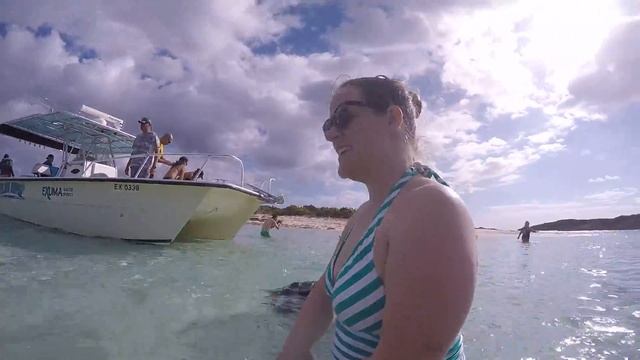 Swimming Pigs смотреть онлайн