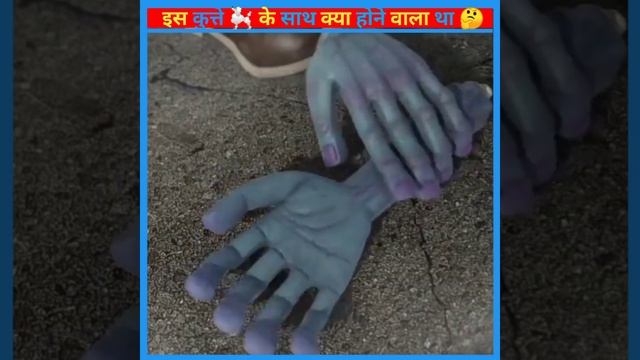 इस 🐩 कुत्ते की वफादारी देखकर आप इस वीडियो को लाइक करेंगे 👍#shorts #trending#shortvideo #viral#short смотреть онлайн