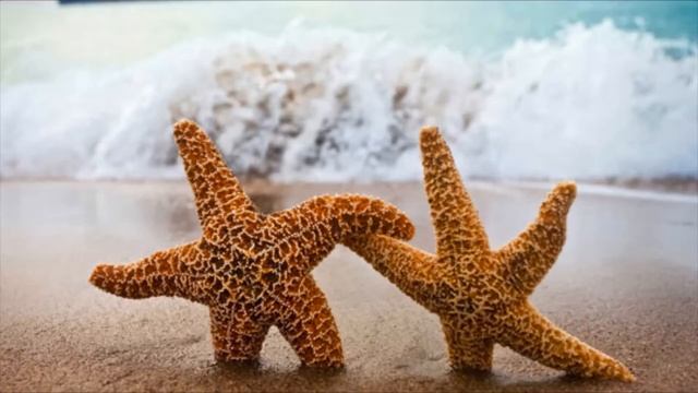 Звонкий - Deja Vu