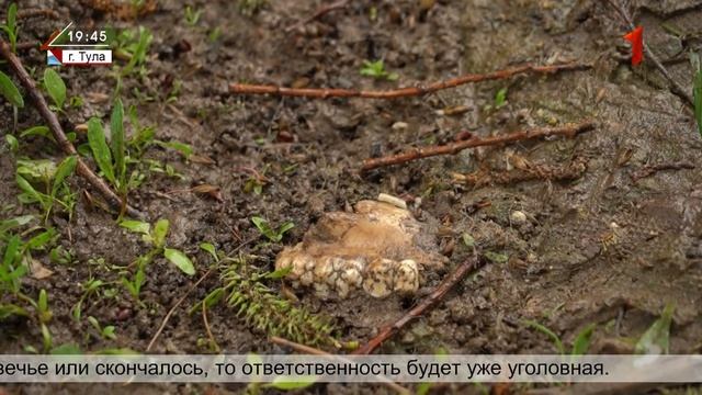 ТОЛЬКО НОВОСТИ. ИТОГИ ДНЯ. 07.05.2024