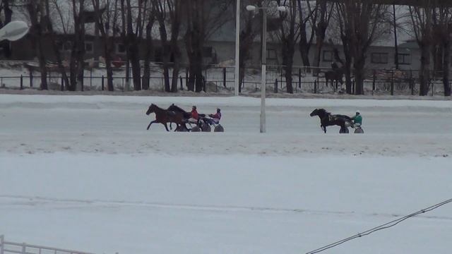 Московский ипподром. Бега. 19.02.17. Заезд 8(75) смотреть онлайн