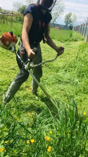STIHL fs 260 c arma preferată foarte simplu , fiabil si reușit 💪🔝 смотреть онлайн