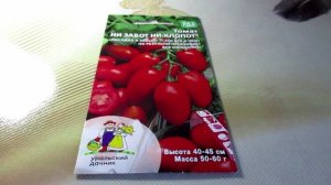 Томаты от "Уральского дачника": Сравниваю "Красную Гвардию F1" и "Ни забот ни хлопот"