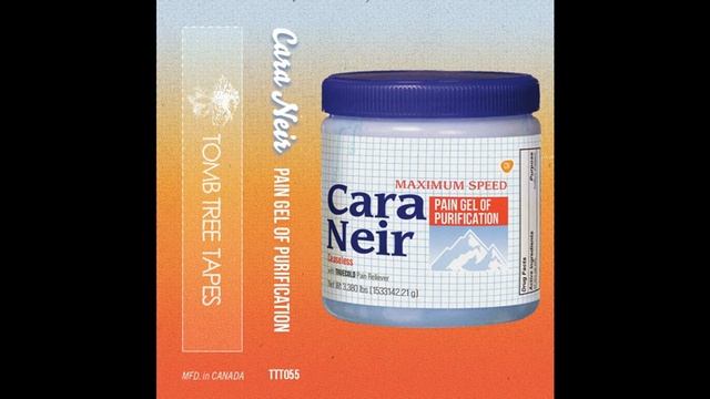 Cara Neir - Pain Gel of Purification (Full Album, 2021) смотреть онлайн