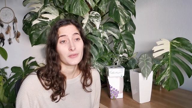 LECHUZA PON // Converting Plants to Pon #ponverting