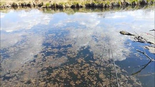 Рыбалка и Шашлык , съёмка 02. 05. 2021 смотреть онлайн