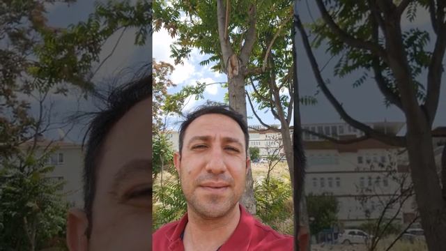 2021 AYT Coğrafya Soru ve Cevapları|Sosyal 2|Canlı Yayın|#aytsorularınıncevapları#2021aytsoruları смотреть онлайн