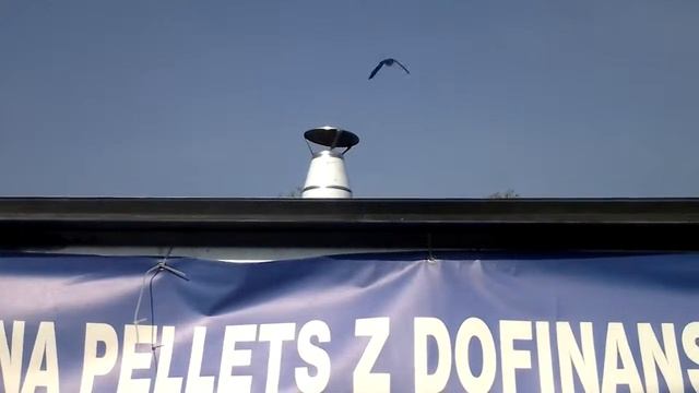 Clean combustion of pellets -short test of 3 pelletboilers.Clean burn of pellets from CWD смотреть онлайн