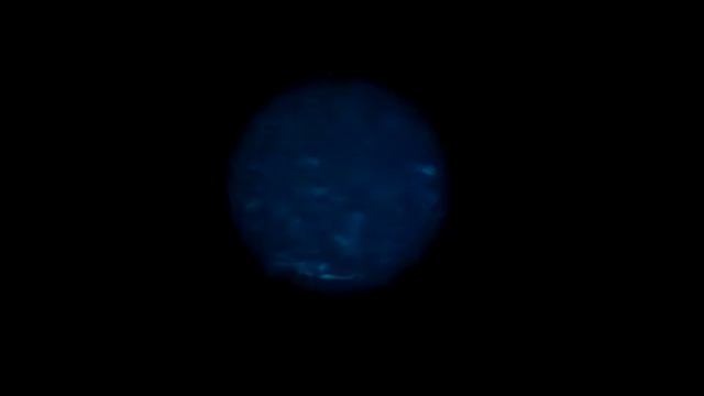 acaros del polvo смотреть онлайн