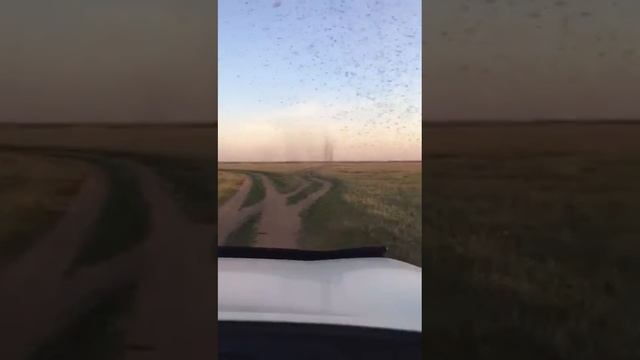 Машкара в Талапкере... Близь Астыны... Жесть... Это надо видеть... смотреть онлайн