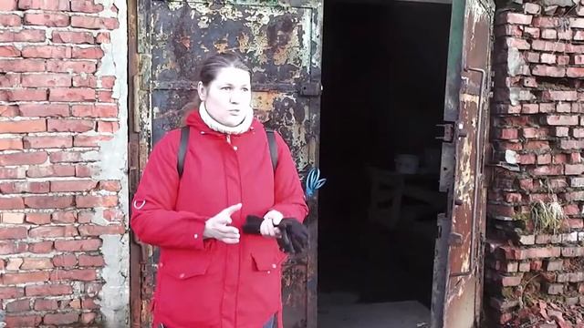 Приют Счастливый хвост, Александровск смотреть онлайн